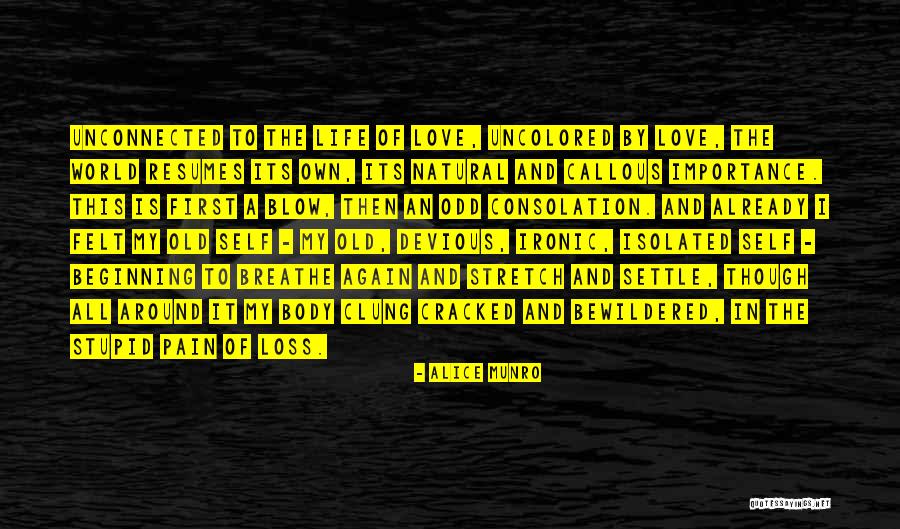 Love And Loss In Life Quotes By Alice Munro Love And Loss In Life Quotes By Alice Munro
