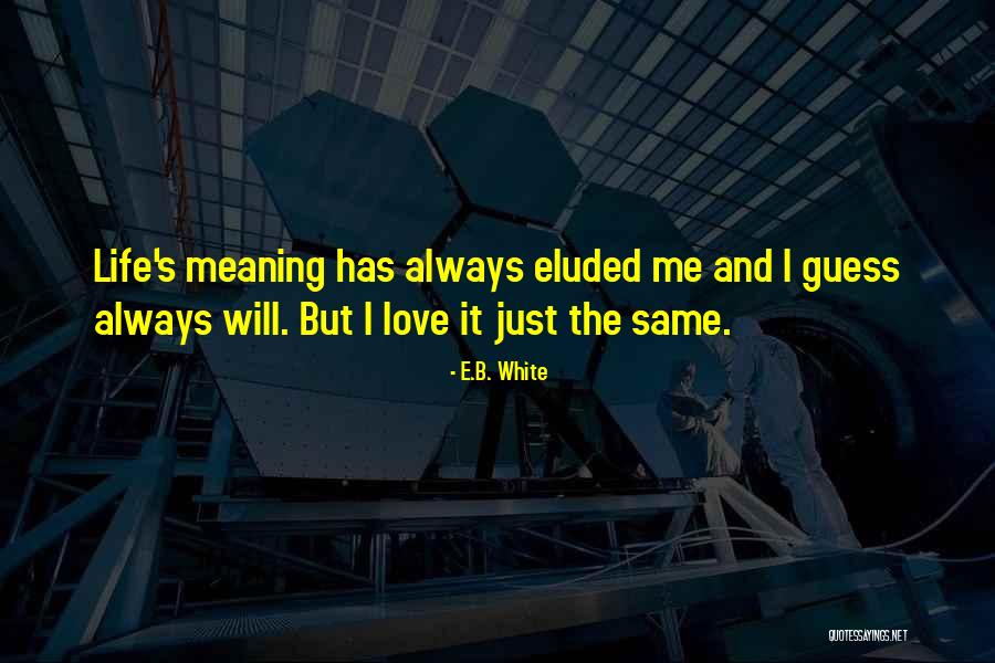 Love And Meaning Quotes By E.B. White Love And Meaning Quotes By E.B. White