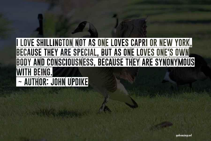 Love And New York Quotes By John Updike