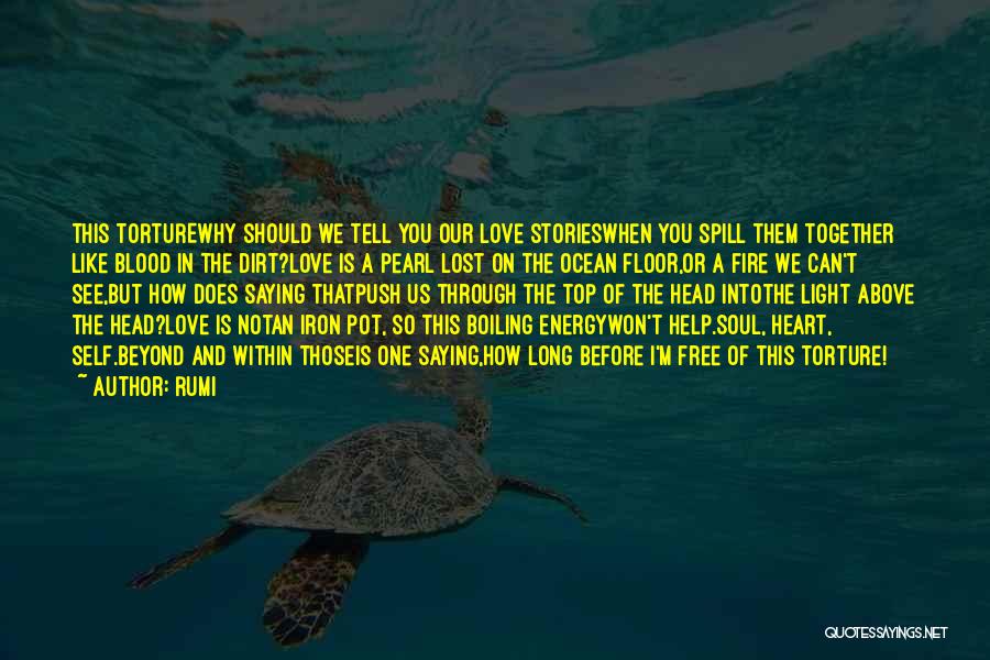 Love And Ocean Quotes By Rumi