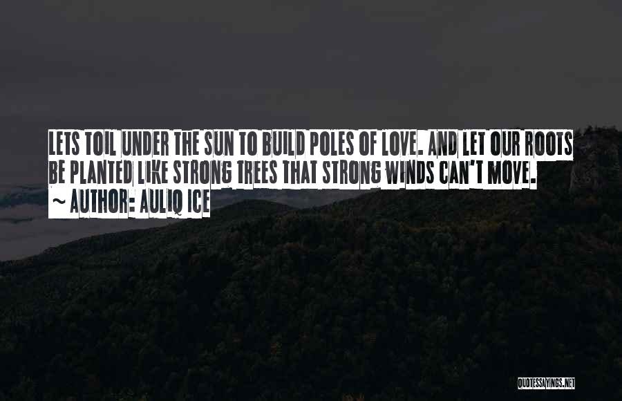 Love And Peace On Earth Quotes By Auliq Ice