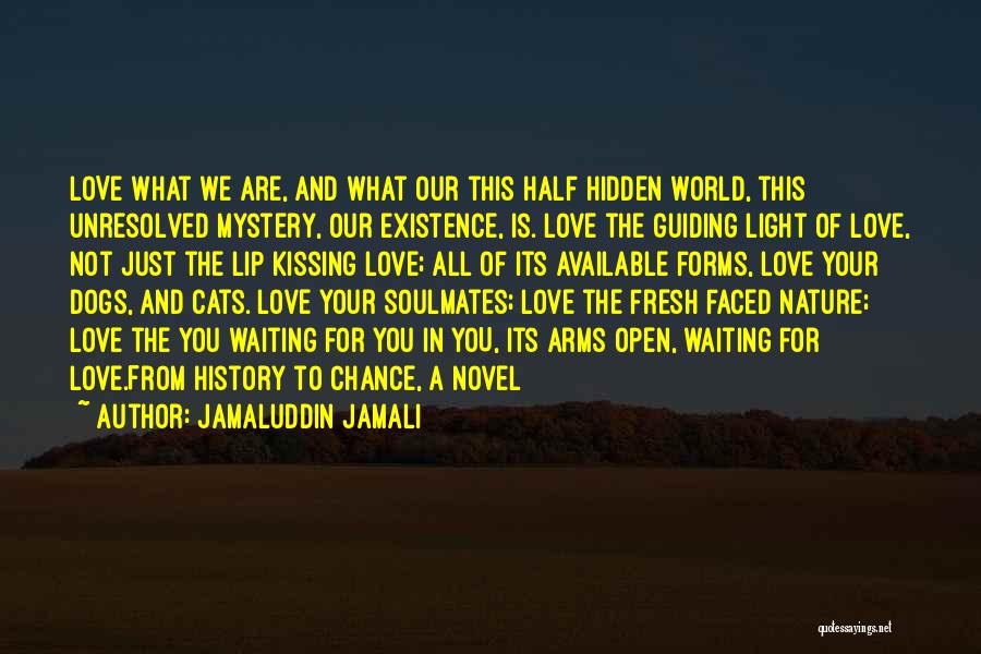 Love And Soulmates Quotes By Jamaluddin Jamali