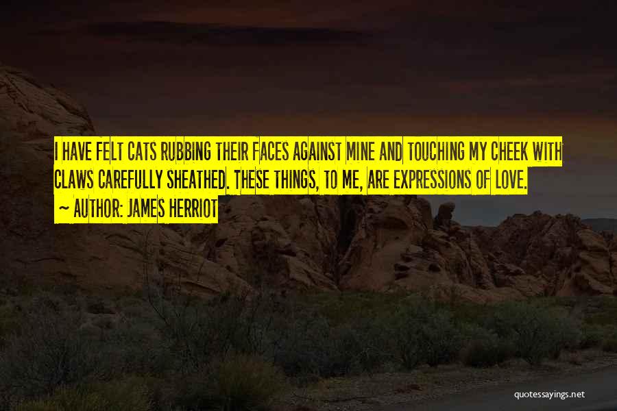Love And Touching Quotes By James Herriot