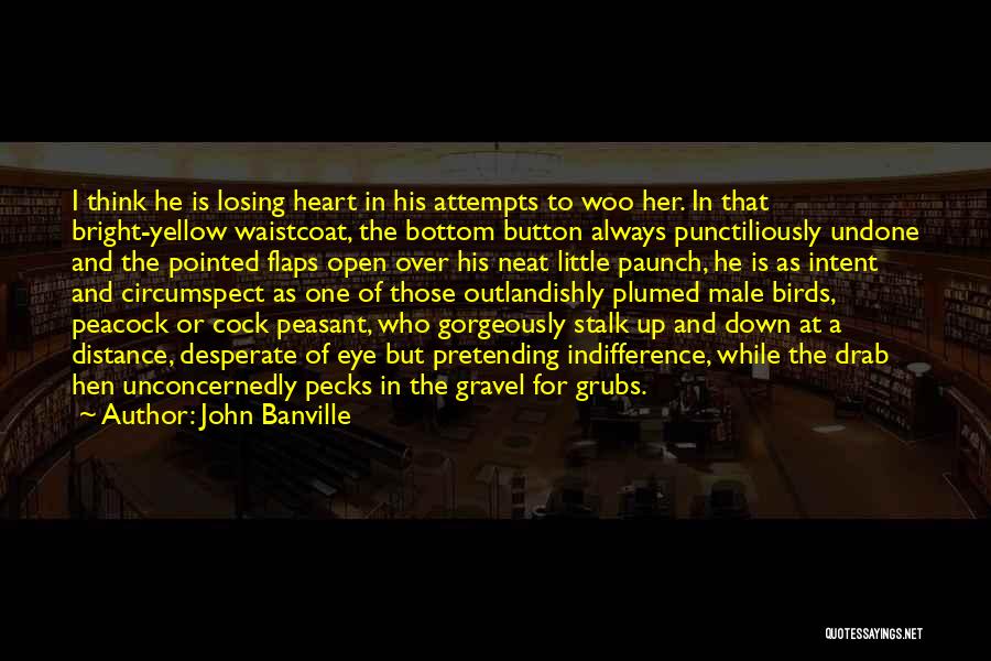 Love Attempts Quotes By John Banville