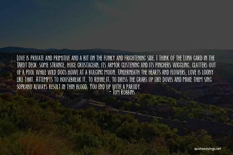 Love Attempts Quotes By Tom Robbins Love Attempts Quotes By Tom Robbins