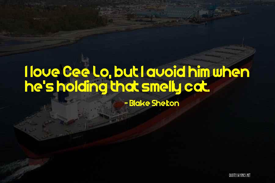 Love Avoid Quotes By Blake Shelton