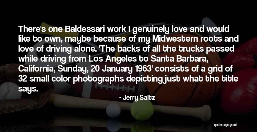 Love Backs Quotes By Jerry Saltz