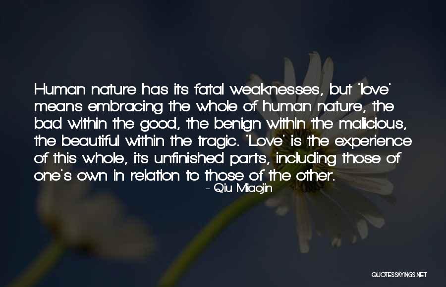 Love Bad Experience Quotes By Qiu Miaojin Love Bad Experience Quotes By Qiu Miaojin