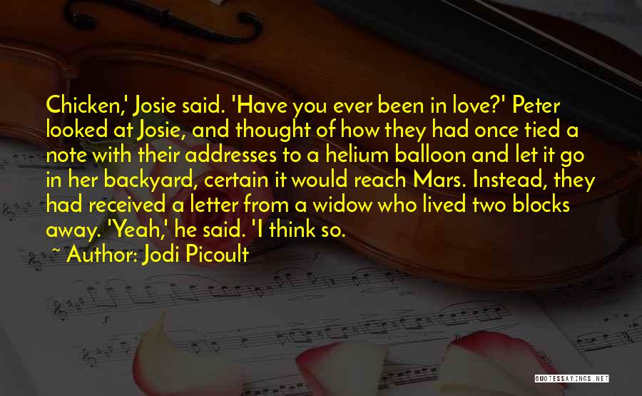 Love Balloon Quotes By Jodi Picoult