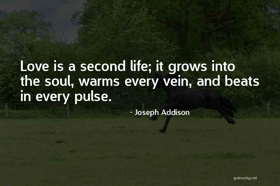 Love Beats Quotes By Joseph Addison