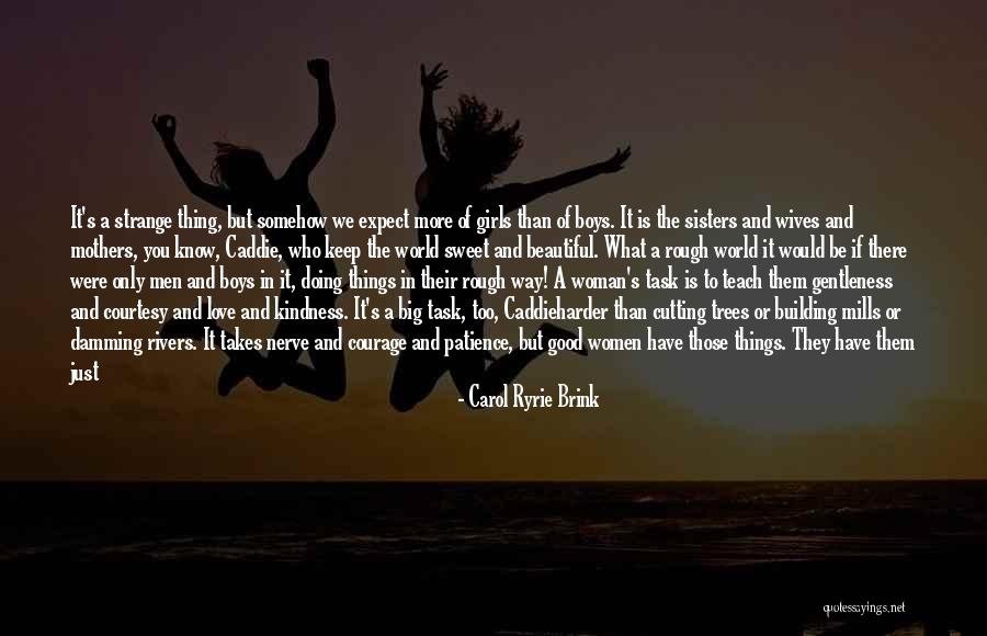 Love Beautiful Things Quotes By Carol Ryrie Brink