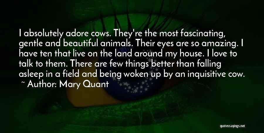 Love Beautiful Things Quotes By Mary Quant