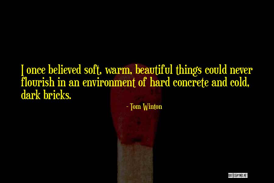 Love Beautiful Things Quotes By Tom Winton