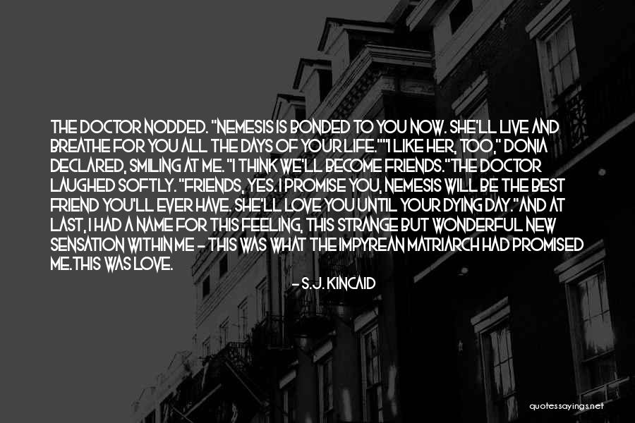 Love Best Friends Quotes By S.J. Kincaid