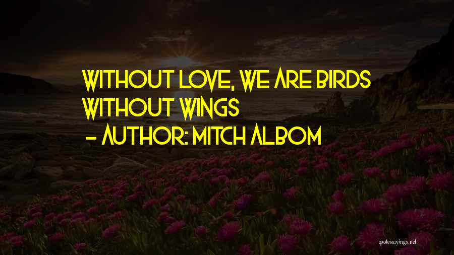 Love Birds Love Quotes By Mitch Albom