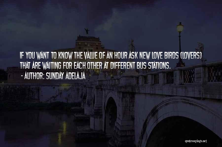 Love Birds Love Quotes By Sunday Adelaja
