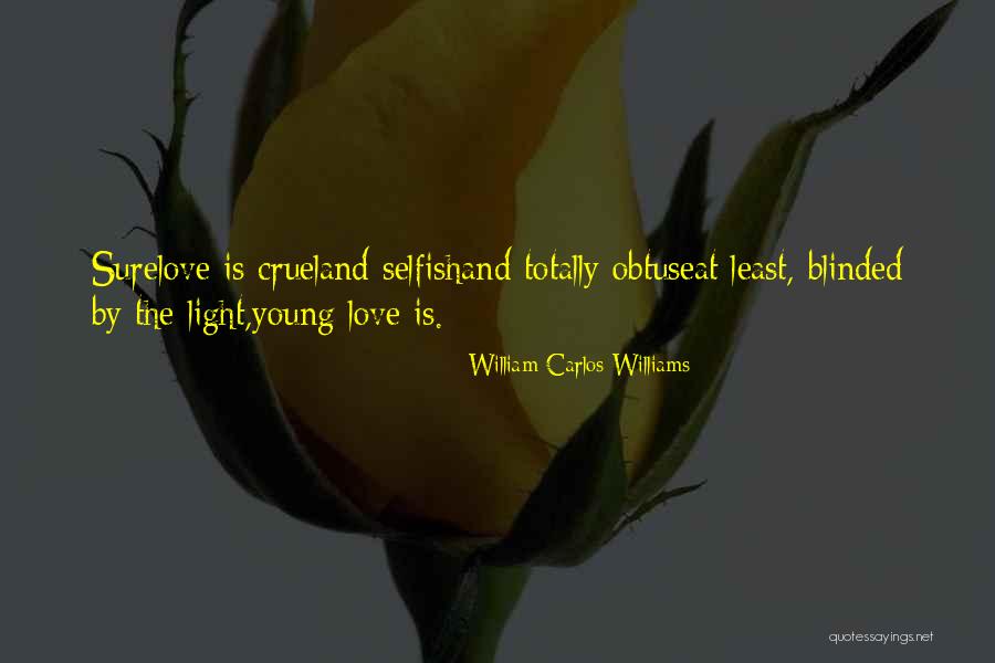 Love Blinded Quotes By William Carlos Williams