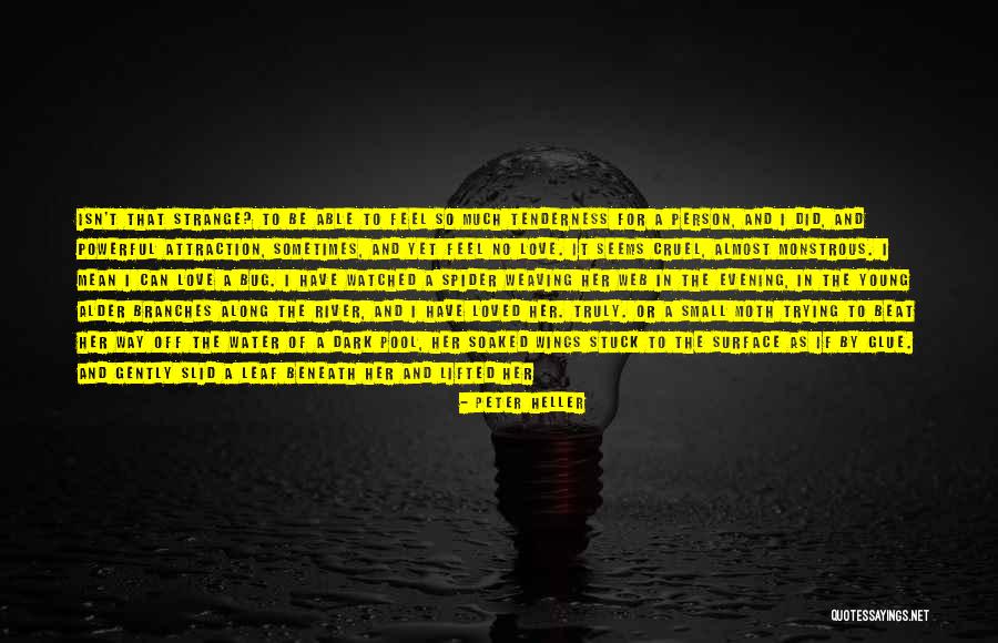 Love Branches Quotes By Peter Heller Love Branches Quotes By Peter Heller