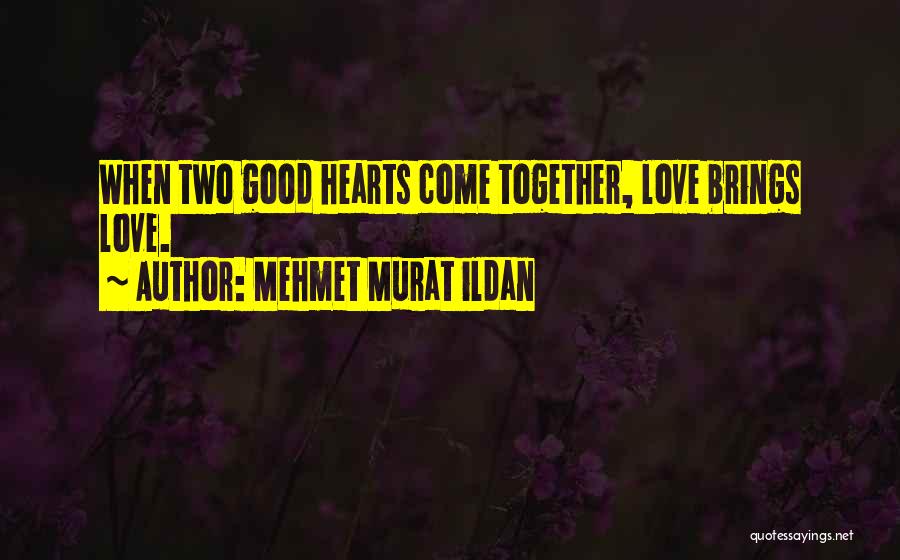 Love Brings Us Together Quotes By Mehmet Murat Ildan