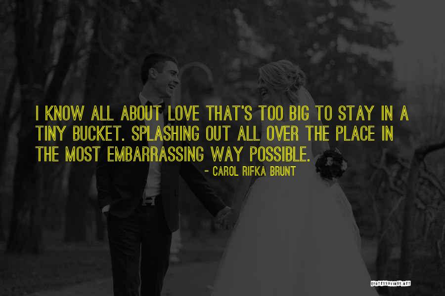 Love Bucket Quotes By Carol Rifka Brunt Love Bucket Quotes By Carol Rifka Brunt