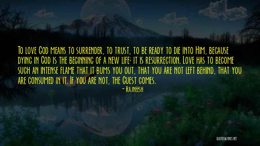 Love Bums Quotes By Rajneesh