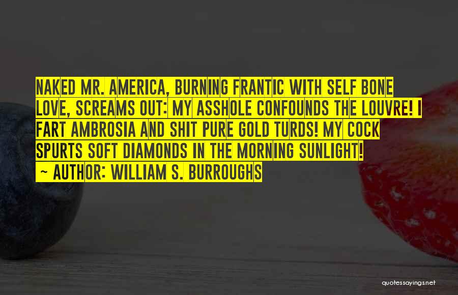 Love Burning Out Quotes By William S. Burroughs