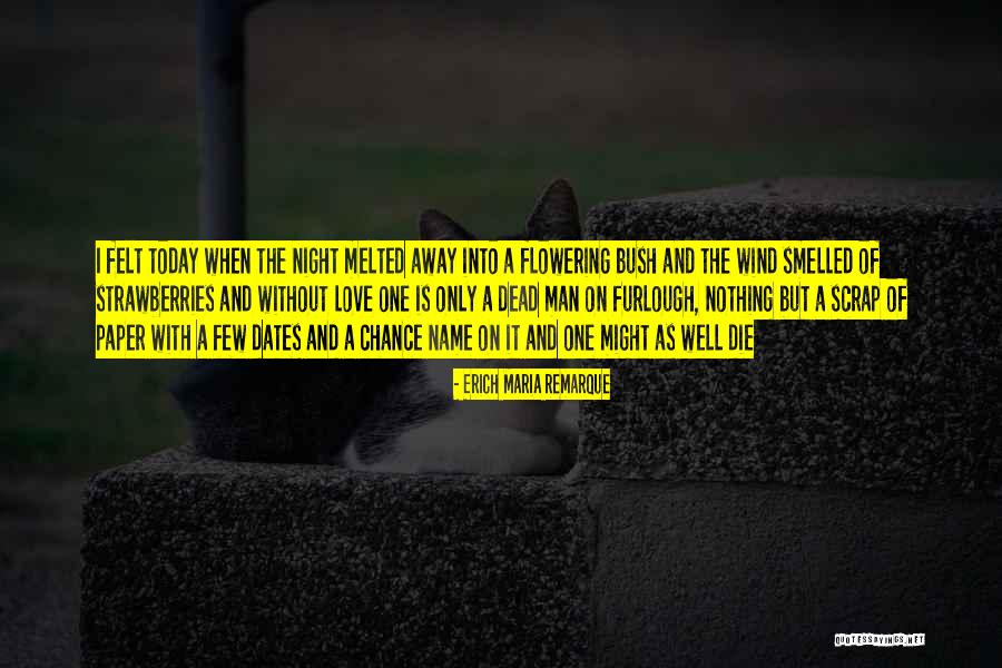 Love Bush Quotes By Erich Maria Remarque Love Bush Quotes By Erich Maria Remarque