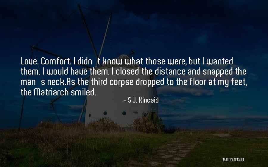 Love But Distance Quotes By S.J. Kincaid