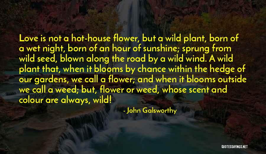 Love By Chance Quotes By John Galsworthy Love By Chance Quotes By John Galsworthy