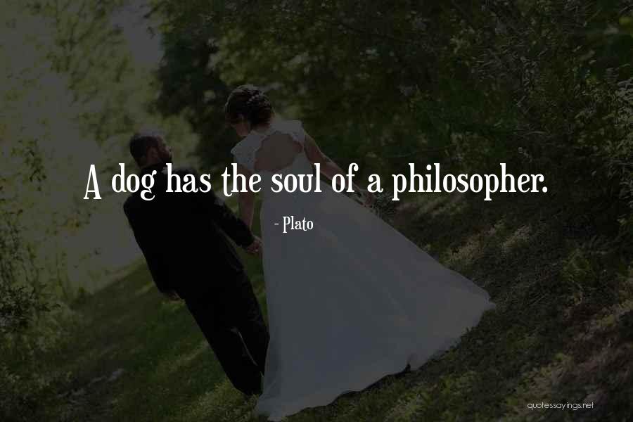 Love By Plato Quotes By Plato Love By Plato Quotes By Plato