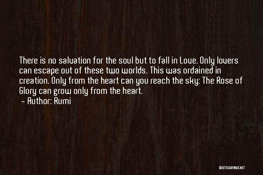Love Can Grow Quotes By Rumi