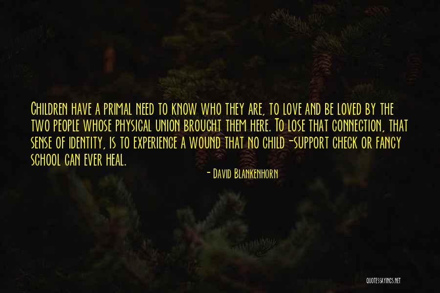 Love Can Heal Quotes By David Blankenhorn