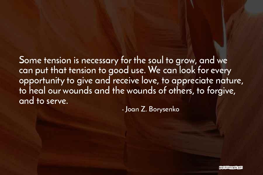 Love Can Heal Quotes By Joan Z. Borysenko