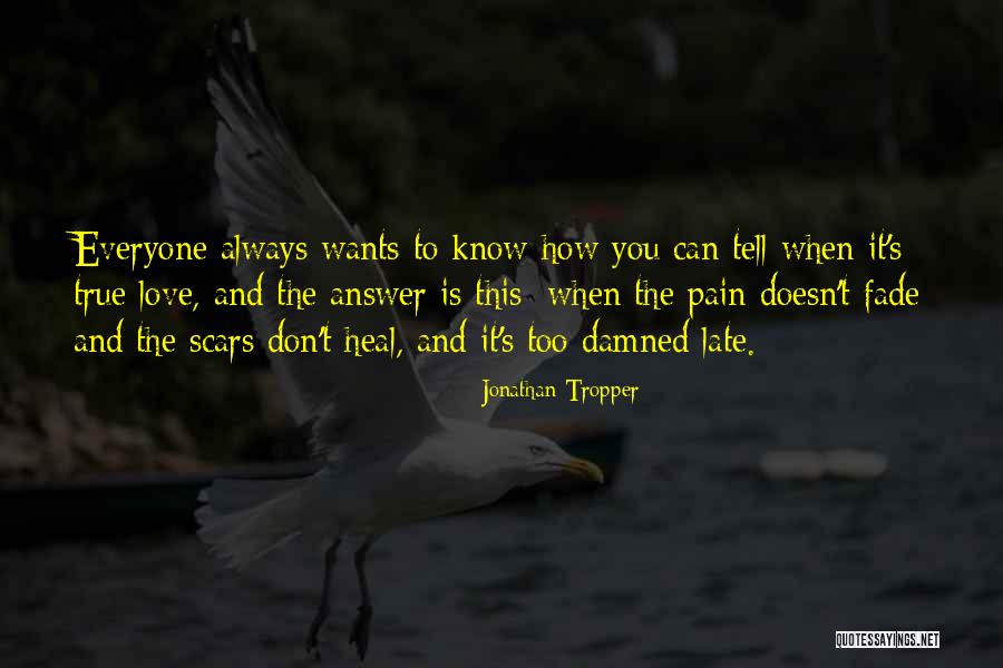 Love Can Heal Quotes By Jonathan Tropper Love Can Heal Quotes By Jonathan Tropper