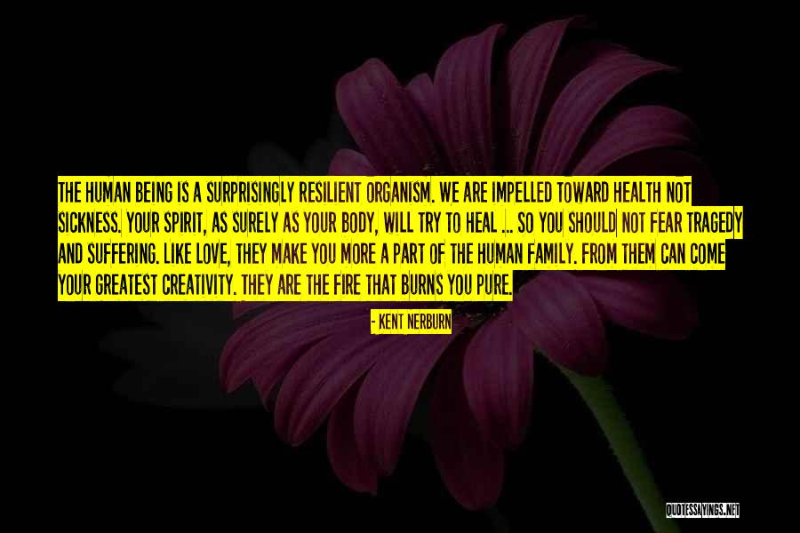Love Can Heal Quotes By Kent Nerburn Love Can Heal Quotes By Kent Nerburn