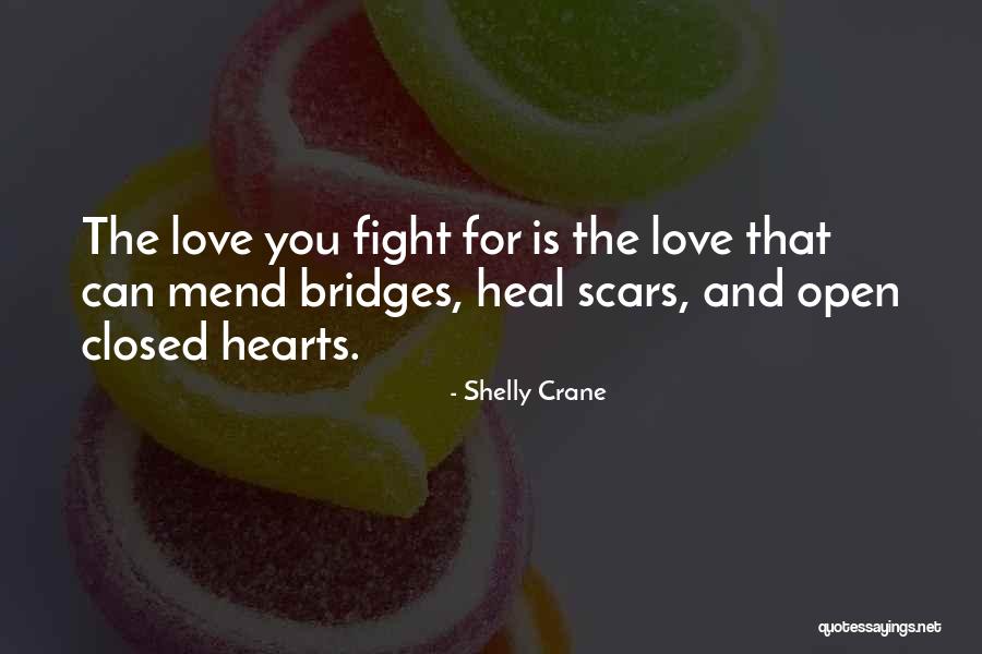 Love Can Heal Quotes By Shelly Crane