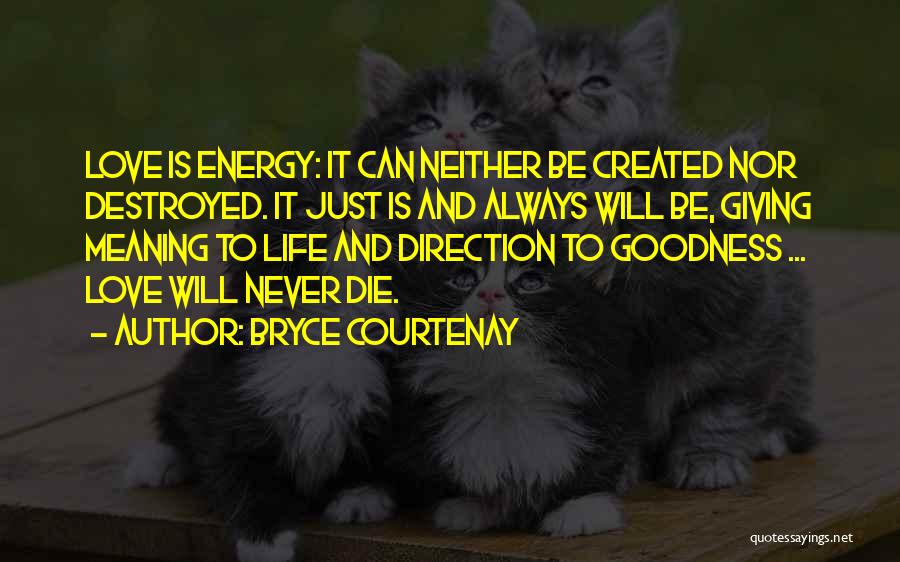 Love Can Never Die Quotes By Bryce Courtenay