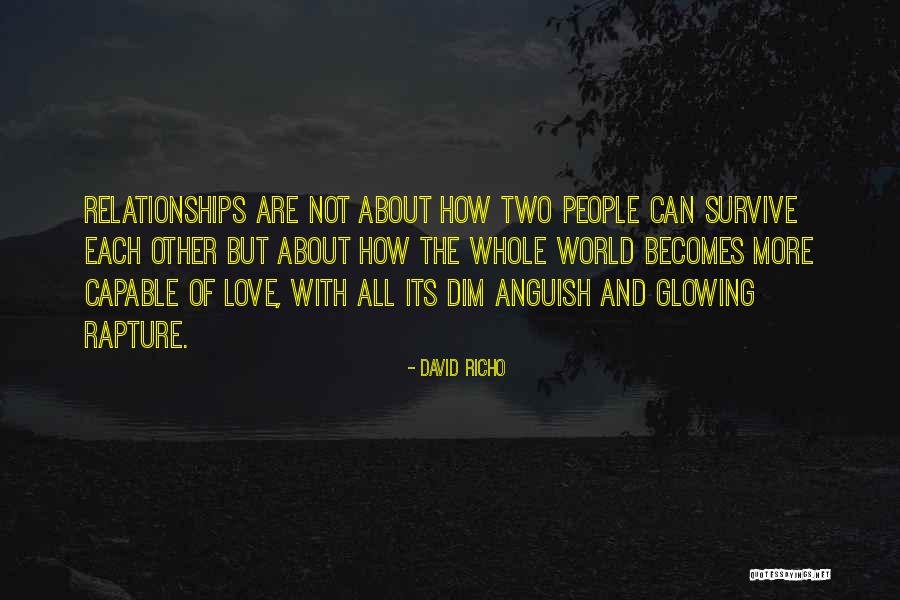 Love Can Survive Quotes By David Richo