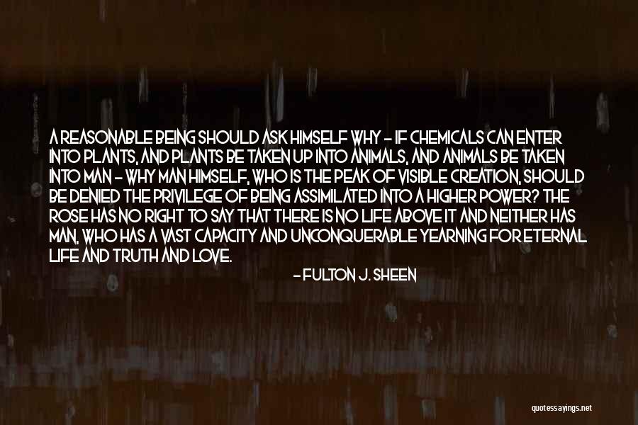 Love Can't Be Denied Quotes By Fulton J. Sheen Love Can't Be Denied Quotes By Fulton J. Sheen