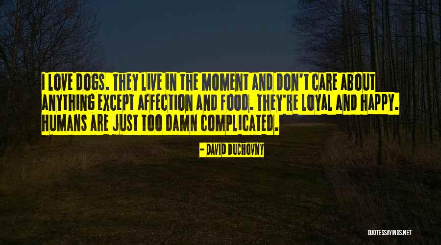 Love Care Affection Quotes By David Duchovny