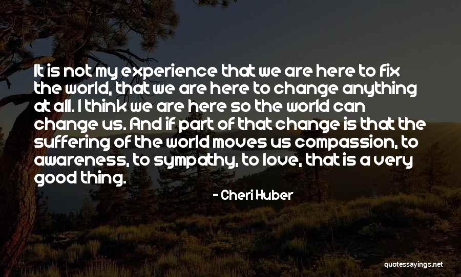 Love Change The World Quotes By Cheri Huber