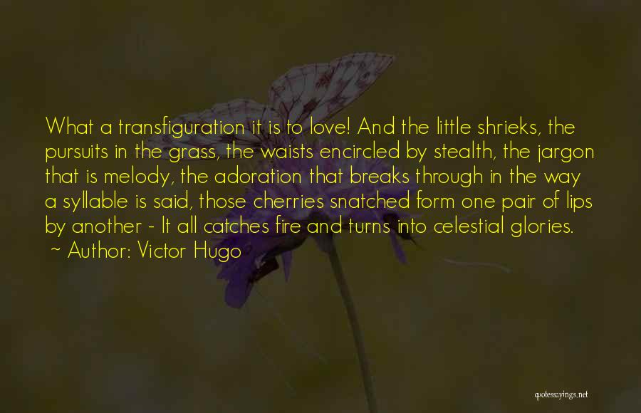 Love Cherries Quotes By Victor Hugo