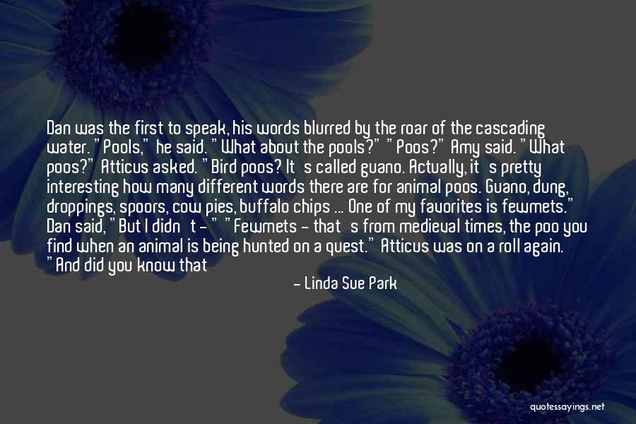 Love Chips Quotes By Linda Sue Park