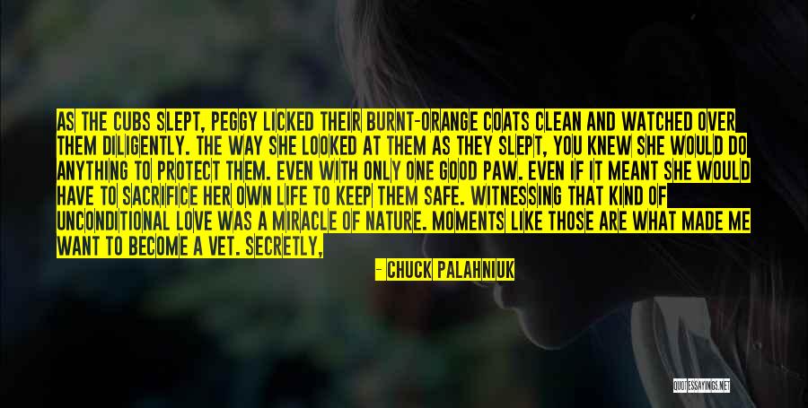 Love Chuck Palahniuk Quotes By Chuck Palahniuk