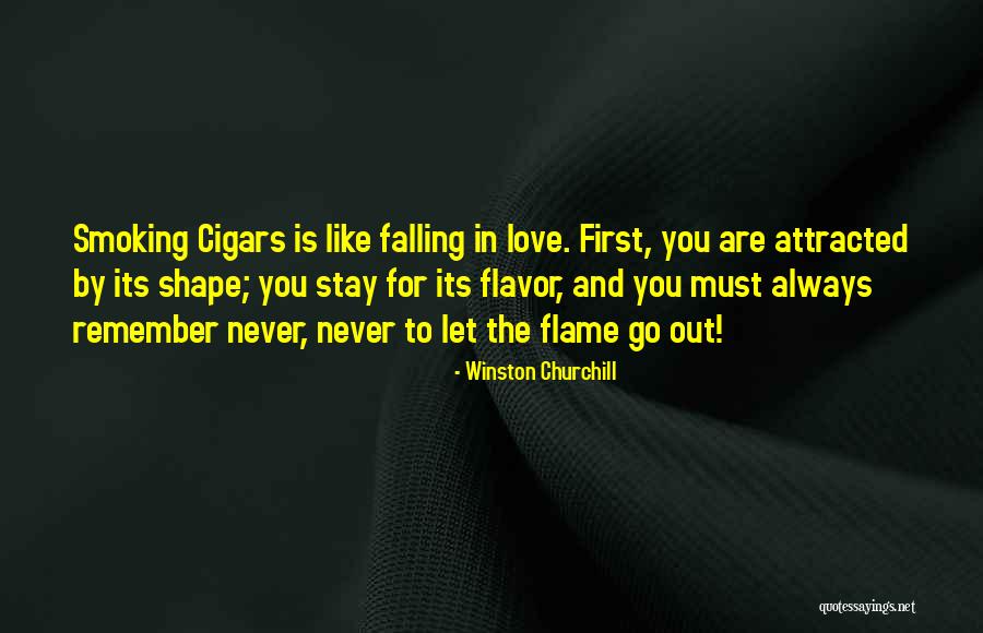 Love Churchill Quotes By Winston Churchill