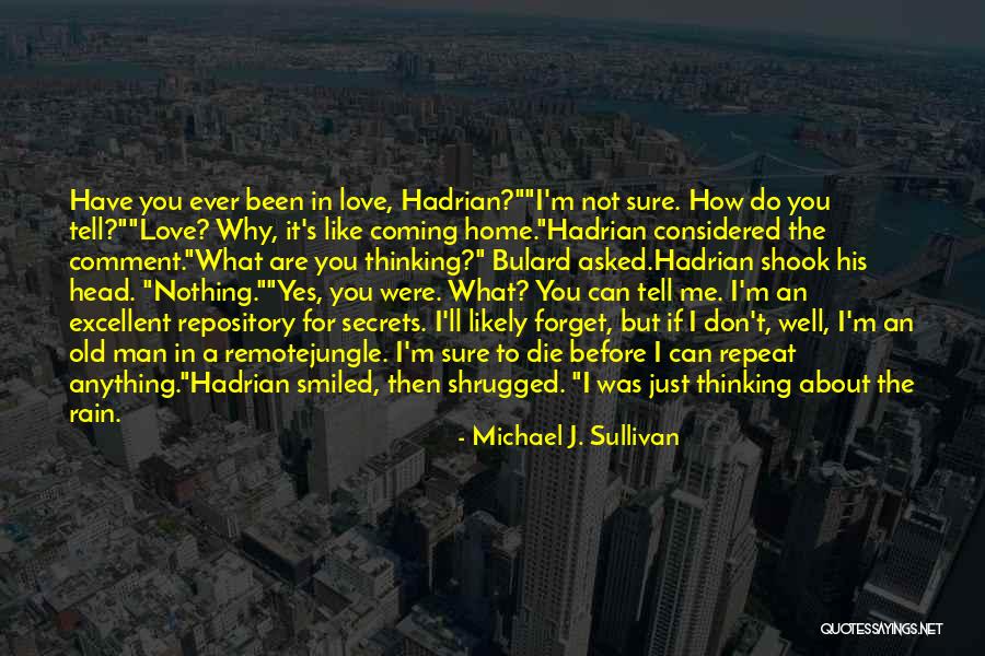 Love Coming Home Quotes By Michael J. Sullivan Love Coming Home Quotes By Michael J. Sullivan