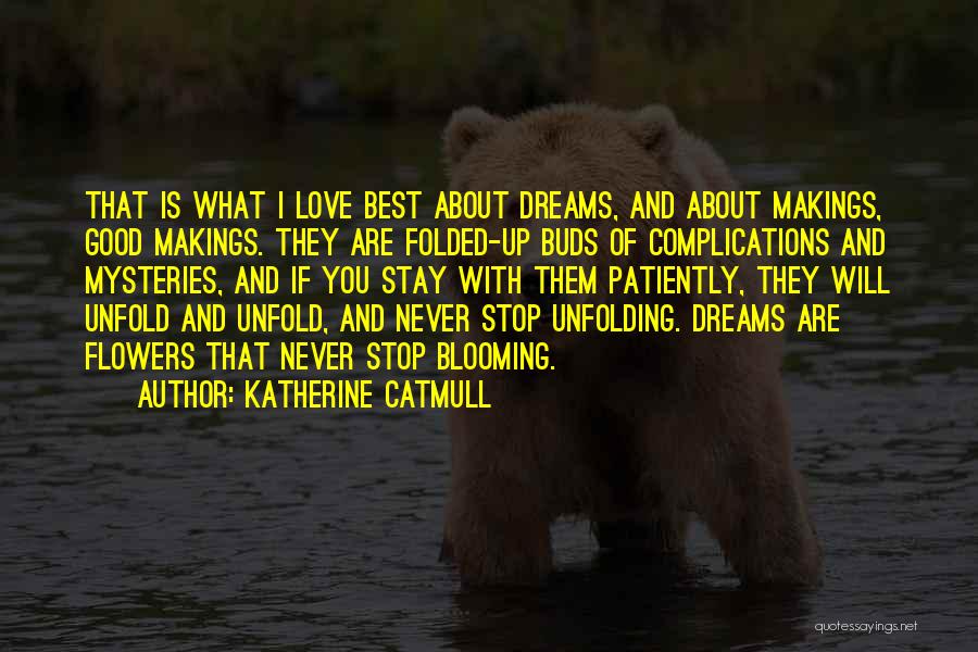 Love Complications Quotes By Katherine Catmull