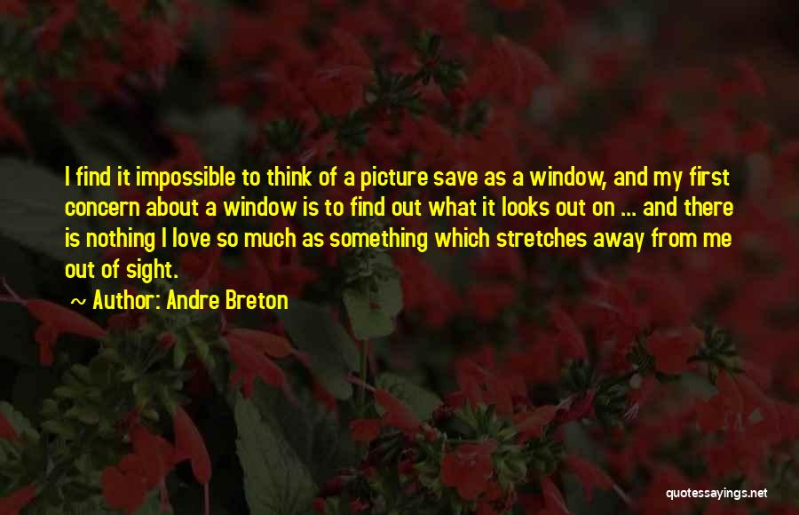 Love Concern Quotes By Andre Breton