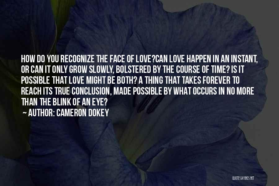 Love Conclusion Quotes By Cameron Dokey