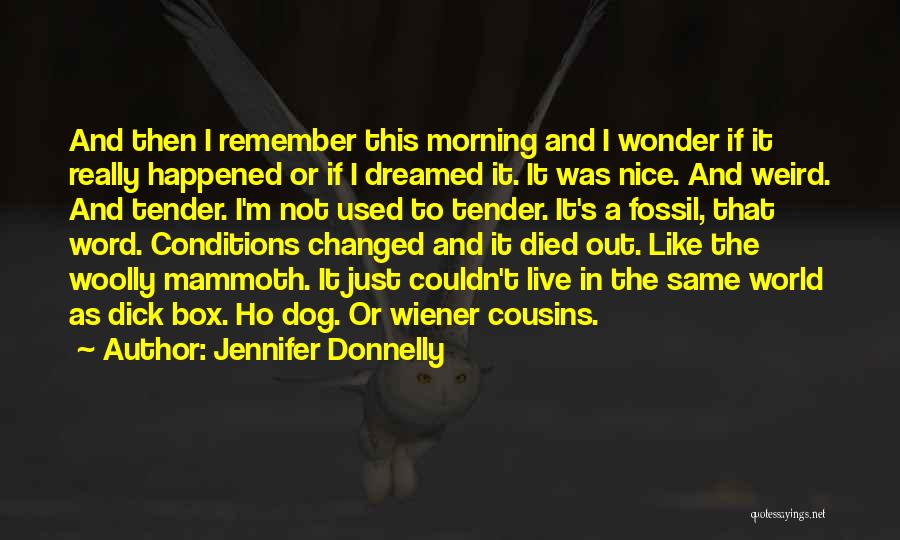 Love Conditions Quotes By Jennifer Donnelly
